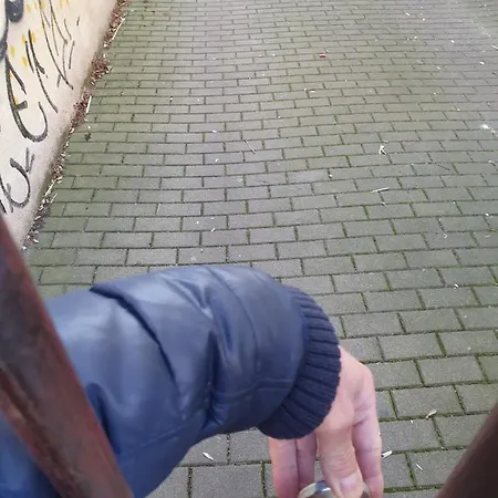 アパート Oder Dresden-neustadt Inkl Parkplatz Mit Balkon Oder Terrasse