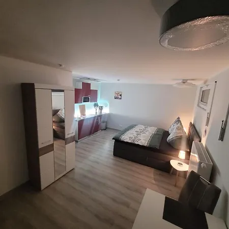 Apartment Oder Dresden-neustadt Inkl Parkplatz Mit Balkon Oder Terrasse *