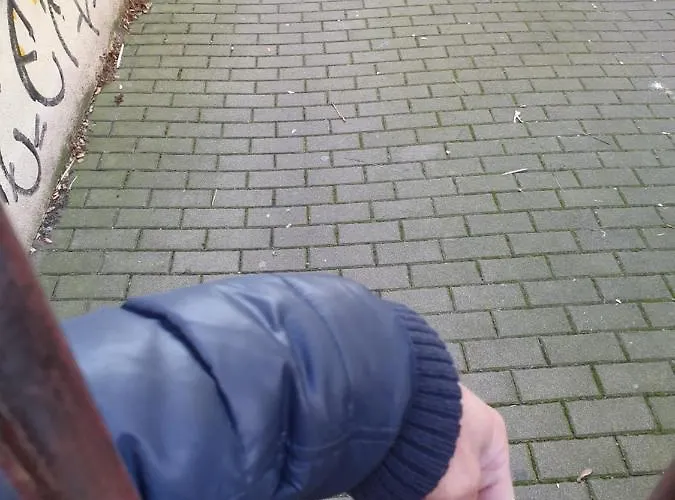 Lägenhet Oder Dresden-neustadt Inkl Parkplatz Mit Balkon Oder Terrasse